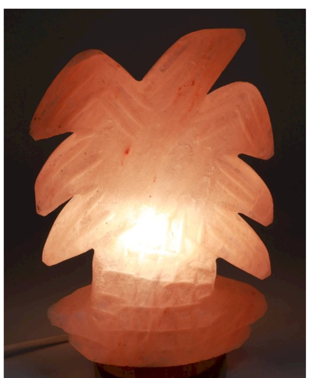 Lampe de Sel Himalaya Palmier 4KG
