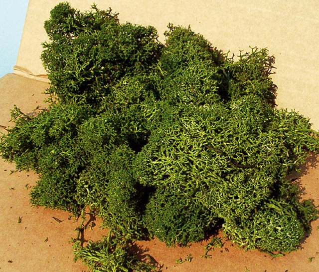 Mousse d’Islande vert moyen héki 3218
