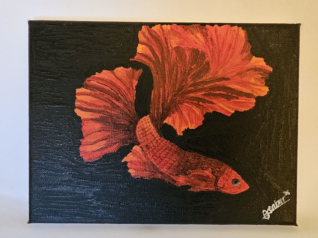 Betta Fish