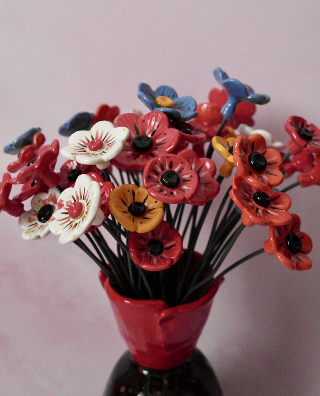 Petit coquelicot sur tige