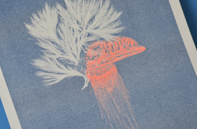 Affichette A4 Abysses - physalie -