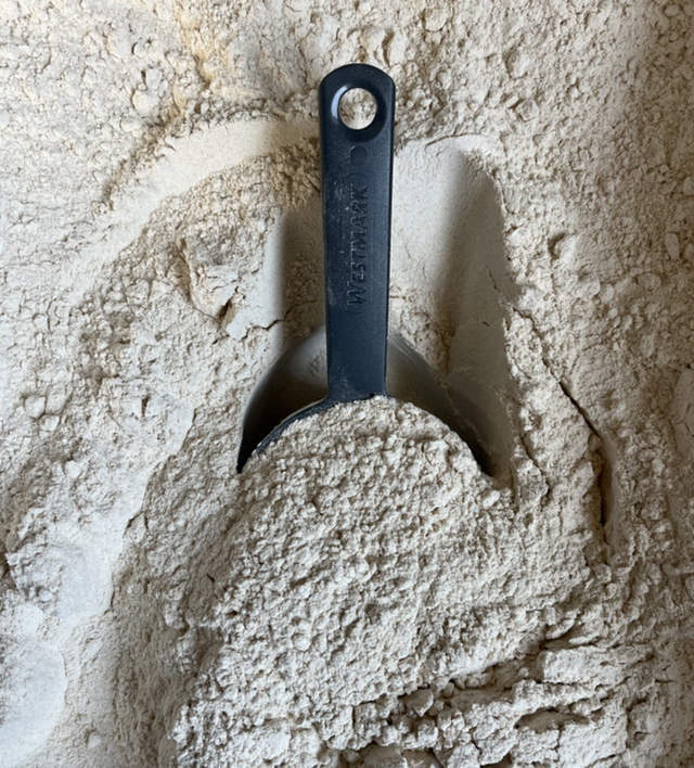 Farine de blé T65 bio en vrac