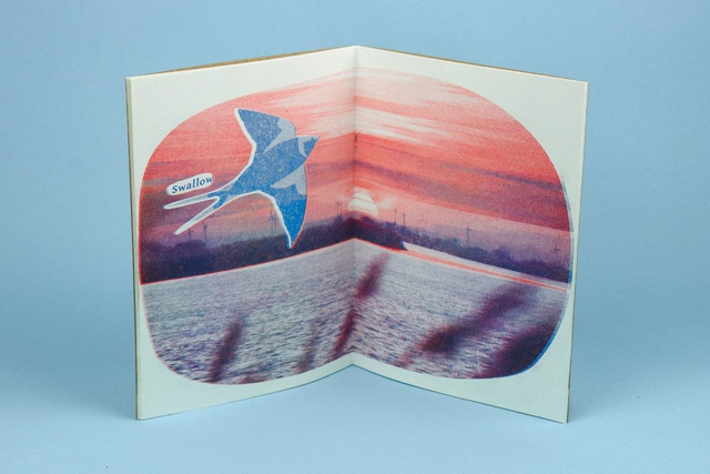 Shoreline, Skyline, Treetop Messenger