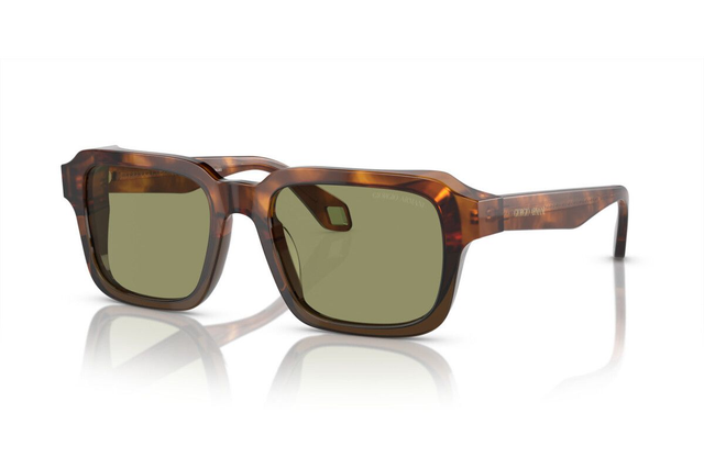 Eyewear Man Giorgio Armani  AR 8194U 598814