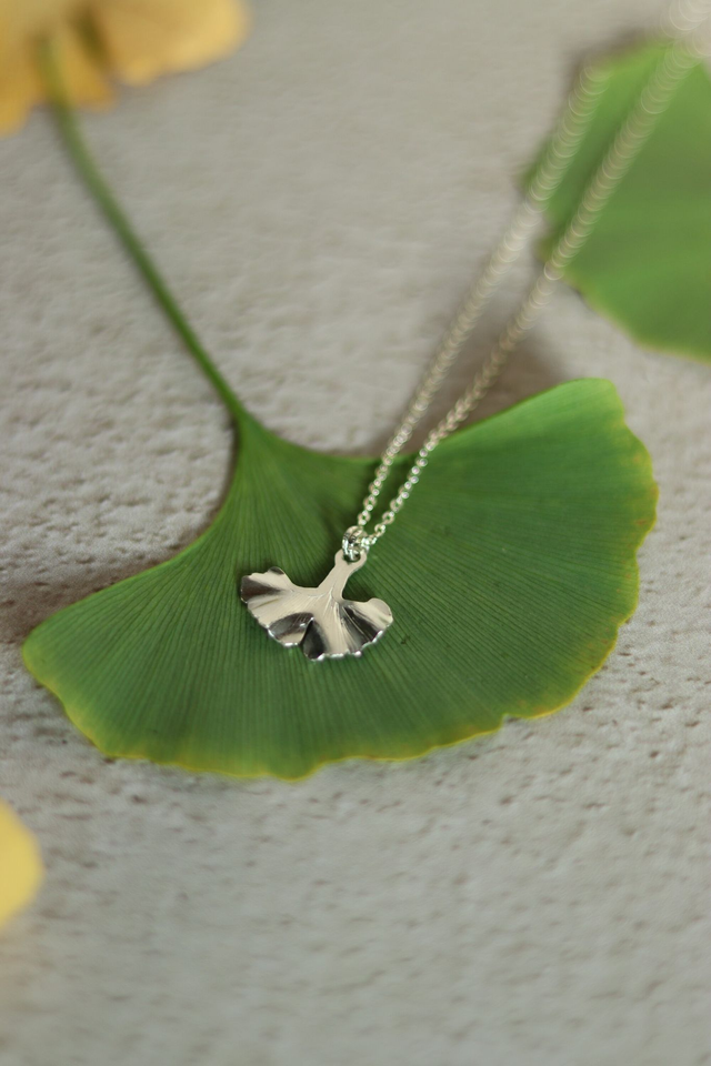 Collier Biloba argent