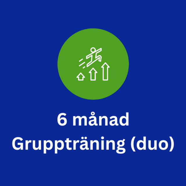 6 månad Gruppträning (duo)