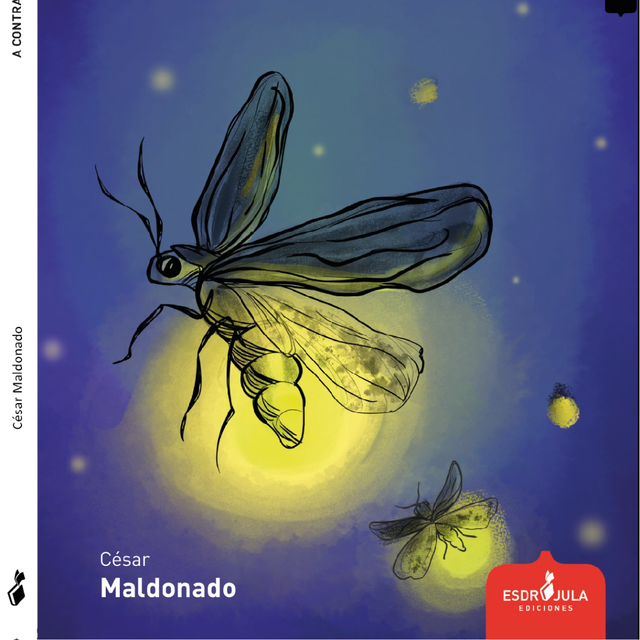 Libro A Contravigilia