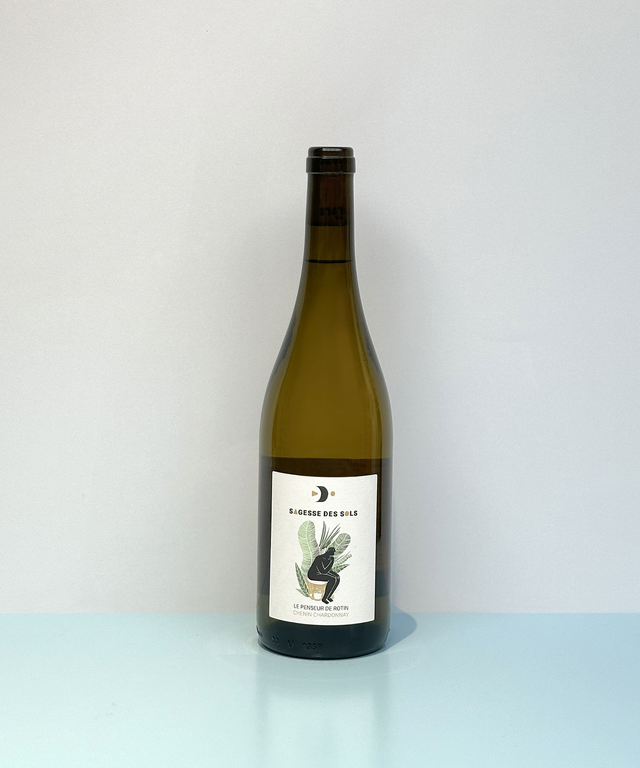 Le Penseur de Rotin - La Sagesse des Sols