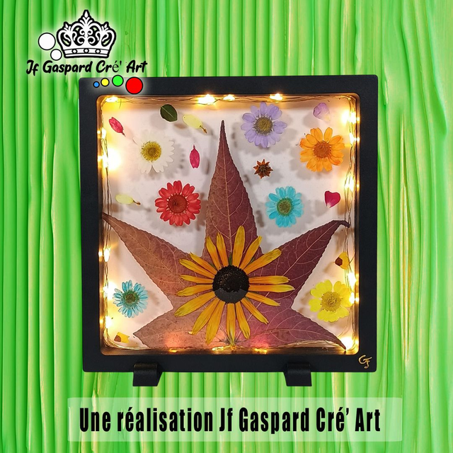 Petit Cadre Lumineux 18 x 18 🌺 &quot;Éveille Botanique&quot;