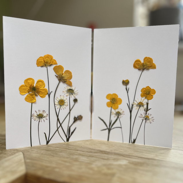 Buttercups and Daisies Greeting Card 01
