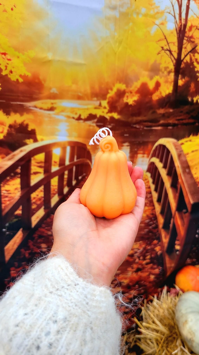 Citrouille poire 
