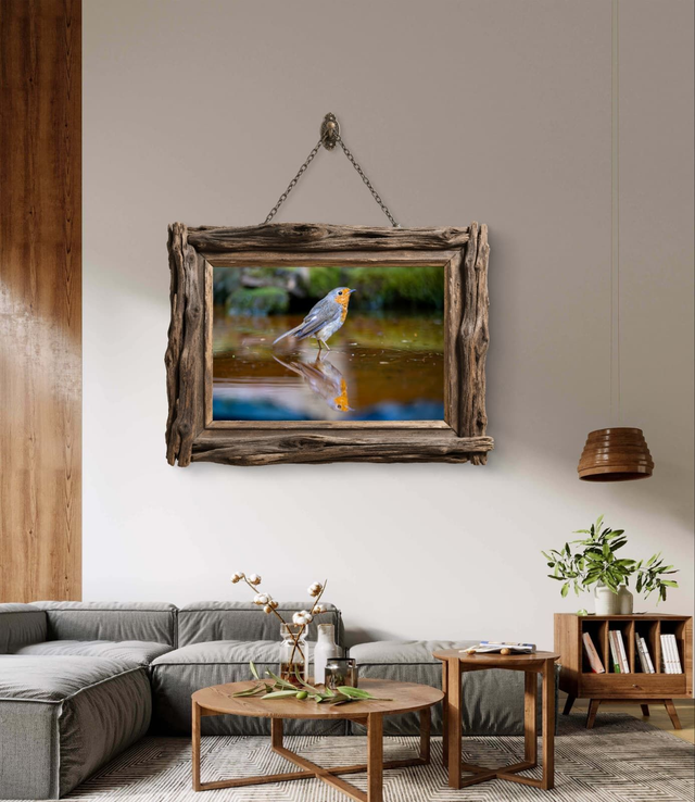 Birds - Reflected Robin - Print Only 