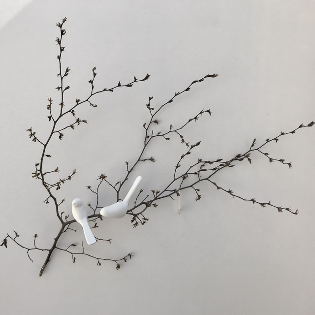 Nature " Charmille "