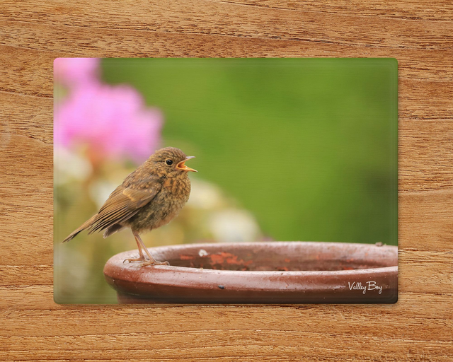 "Baby Robin" Glass Worktop Saver