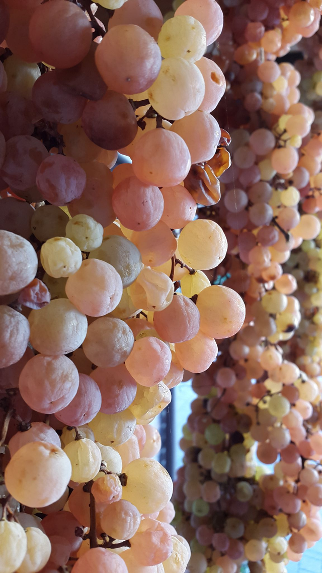 Volcanic Discovery - Scoperta Vulcanica