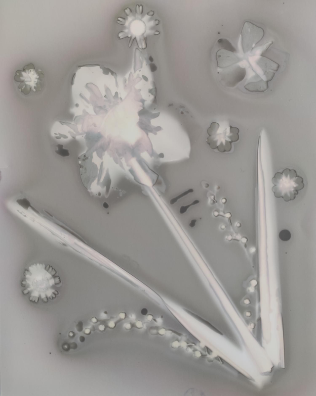 Bouquet de printemps – Narcisse fortune et mimosa 1