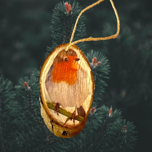 Robin Oval log slice