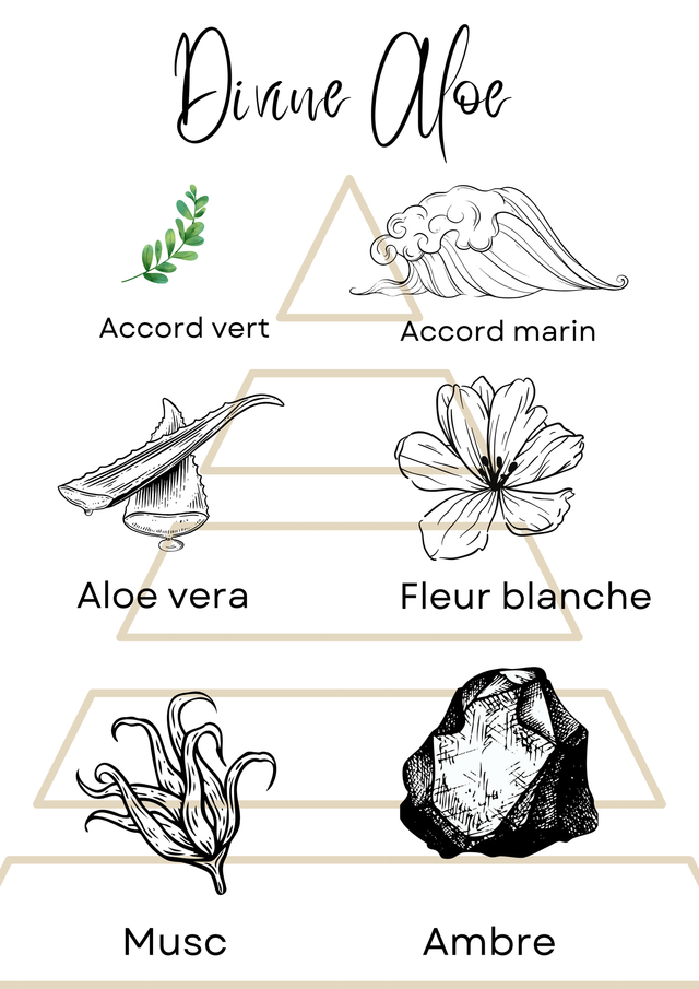 Bougie déco - Divine Aloe - Automne