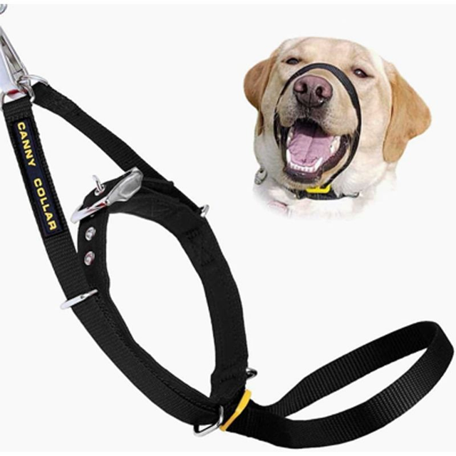 Canny Collar (Black)