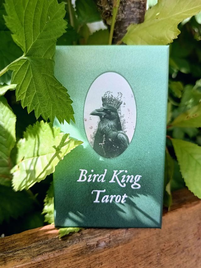 Bird King Tarot: a deck with a post-apocalyptic mystical vibe * by Lida Pavlova & Khvost