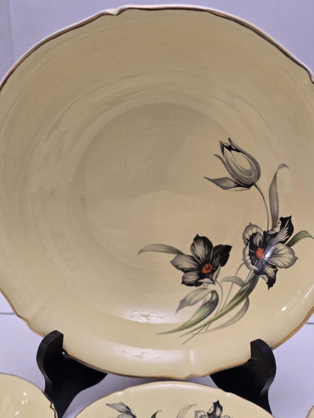 Service à salade de fruits Ceranord Saint Amand