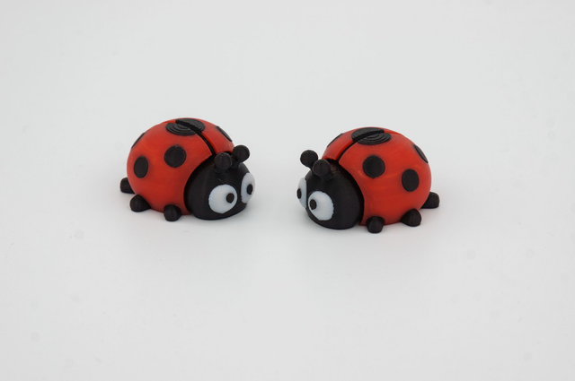Coccinelle flexible miniature