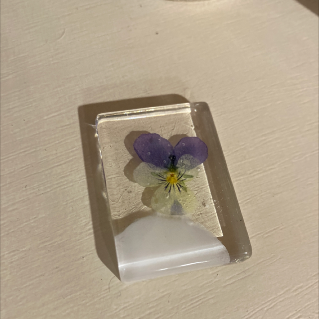 Cadre de fleurs en résine 