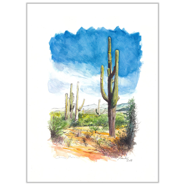 Saguaros de Sonora