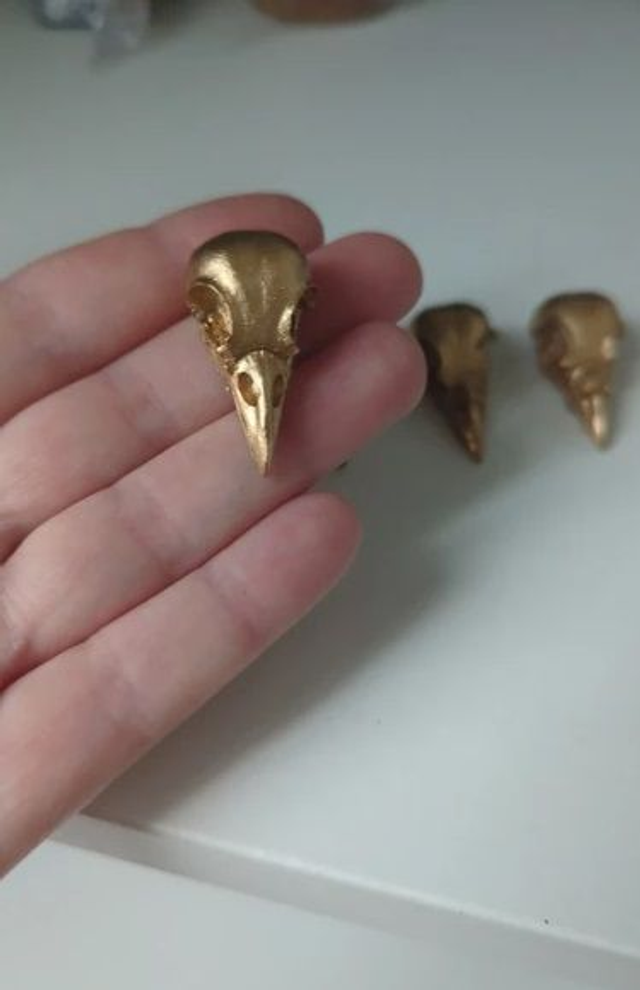Lot de 4 crânes de corbeau en résine dorée