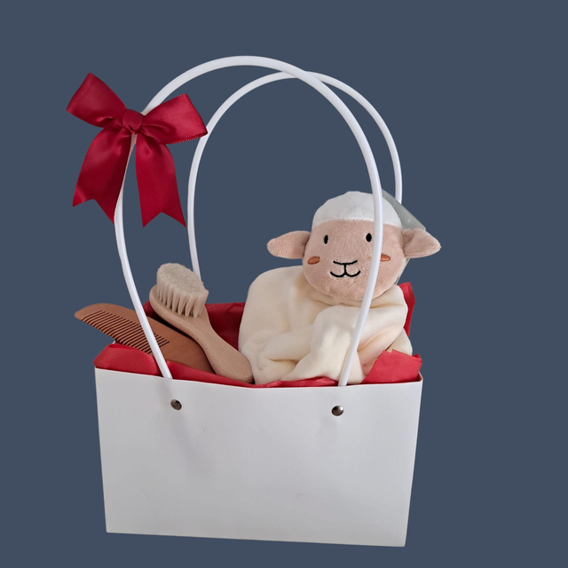 Sac de couches avec accessoires et doudou