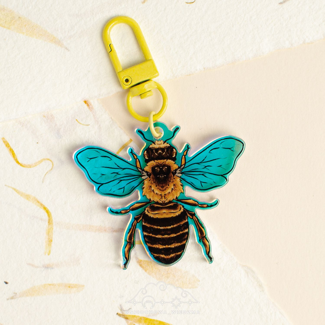 Pszczoła Rainbow | ZWIERZĘTA