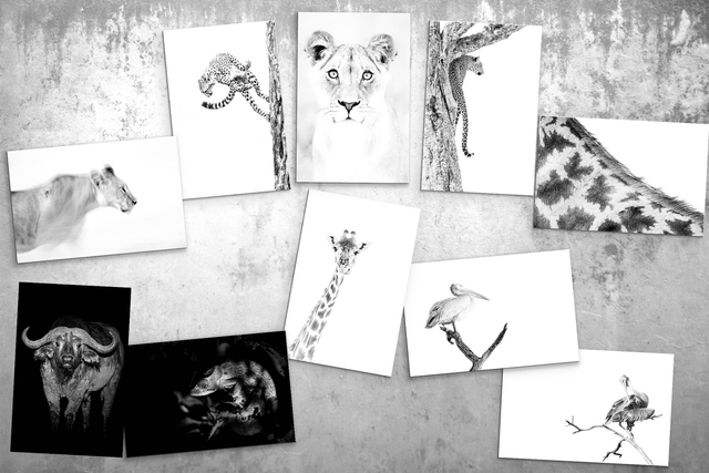 Lot des 10 cartes postales de la série "Mirage africain"