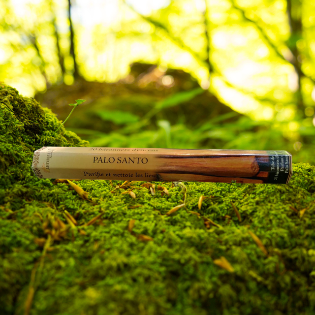 Palo Santo Encens
