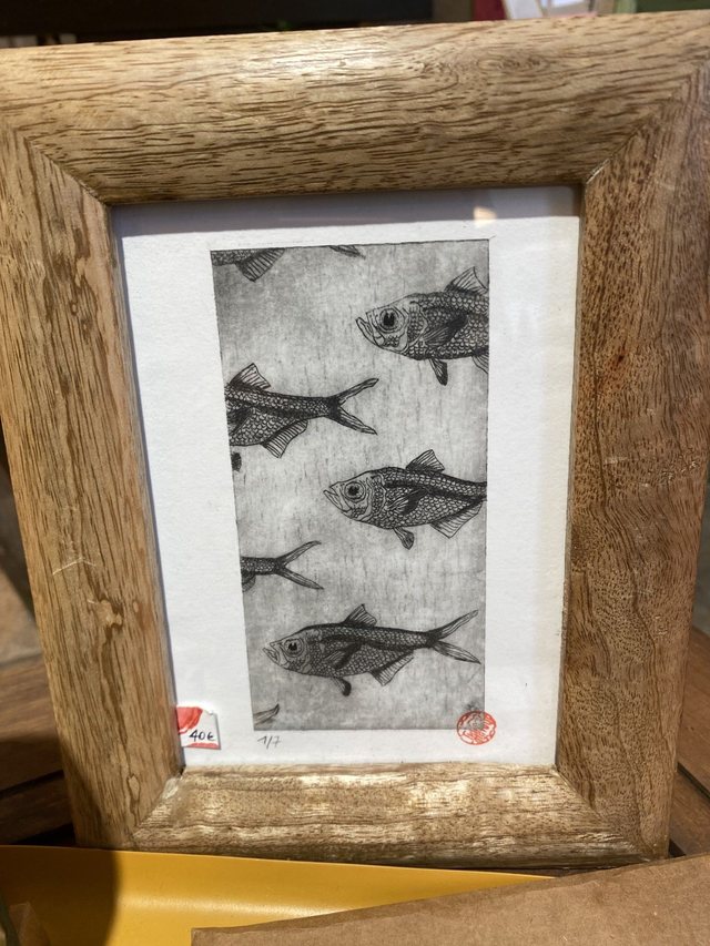 Pack de Noël - Balade en forêt