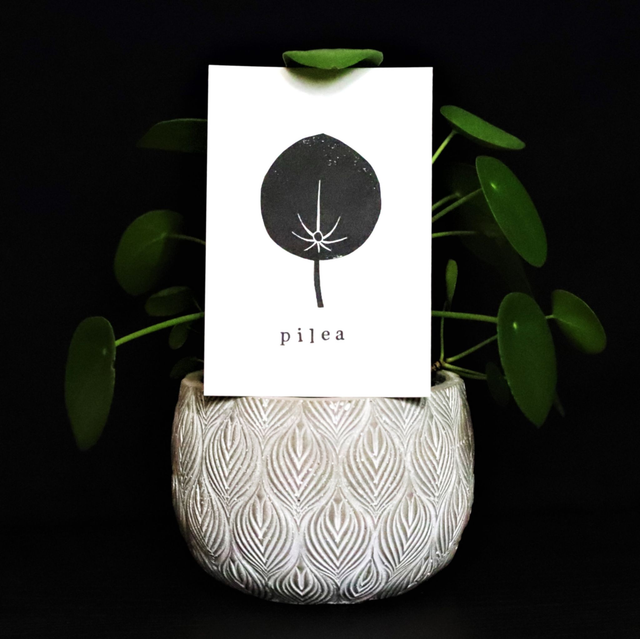 Linogravure A6 feuille de Pilea