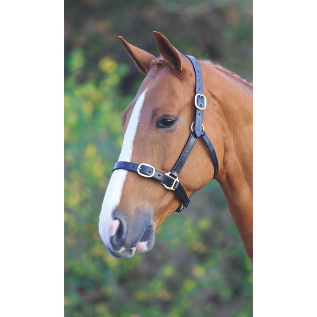 Fully Adjustable Leather Head Collar