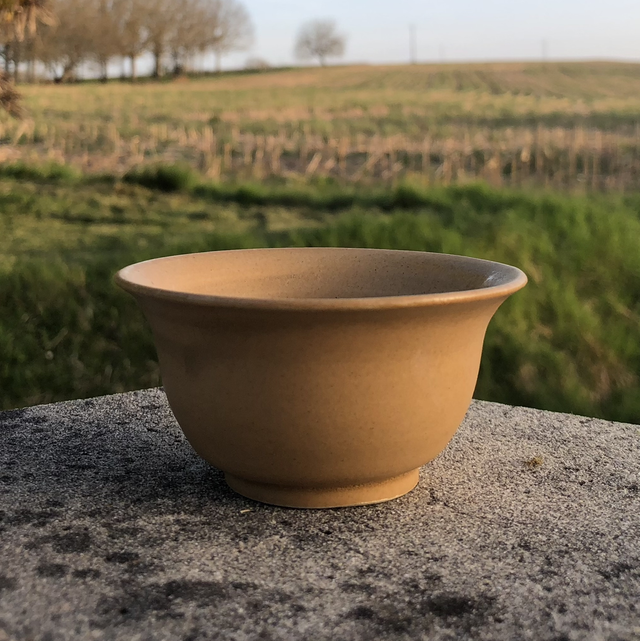 Yellow bowl II