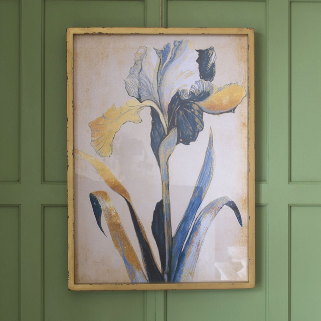 Photographs &amp; Prints