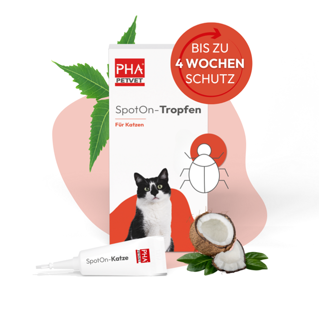 SpotOn-Tropfen Katze 2x1,5ml