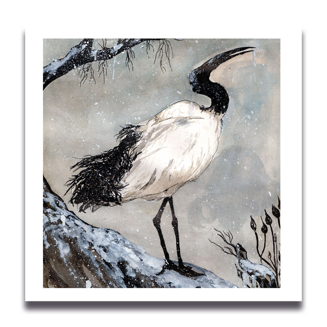 Carte Ibis 11 x 11 cm