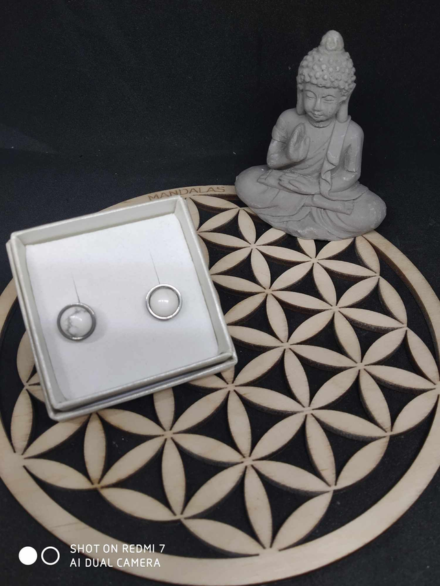 Boucles d'oreilles Howlite 