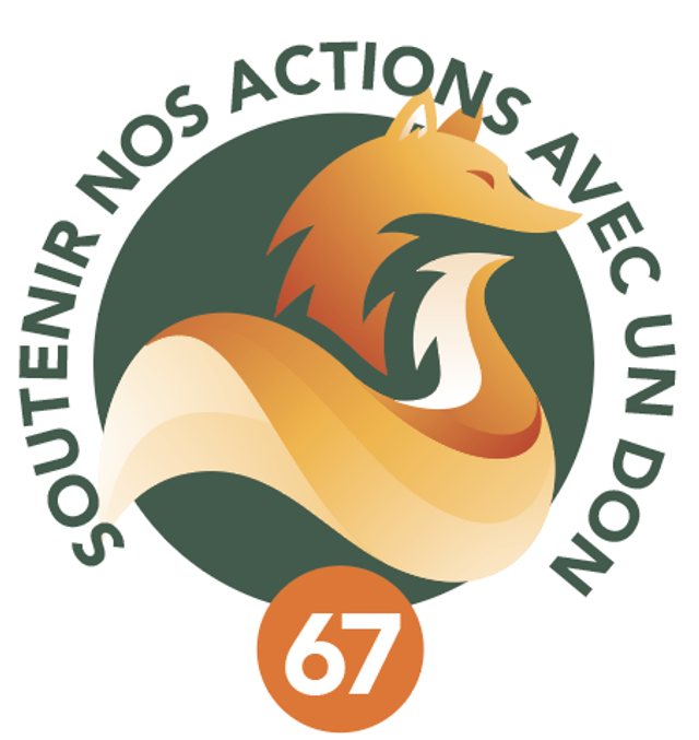 Soutenir nos actions