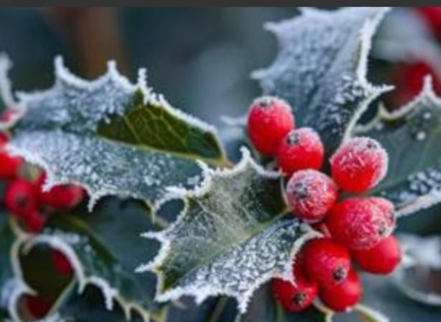 20% off January Winter Back Massage Offer, 30 min