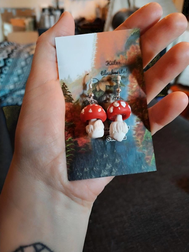 Punakärpässieni / Amanita muscaria