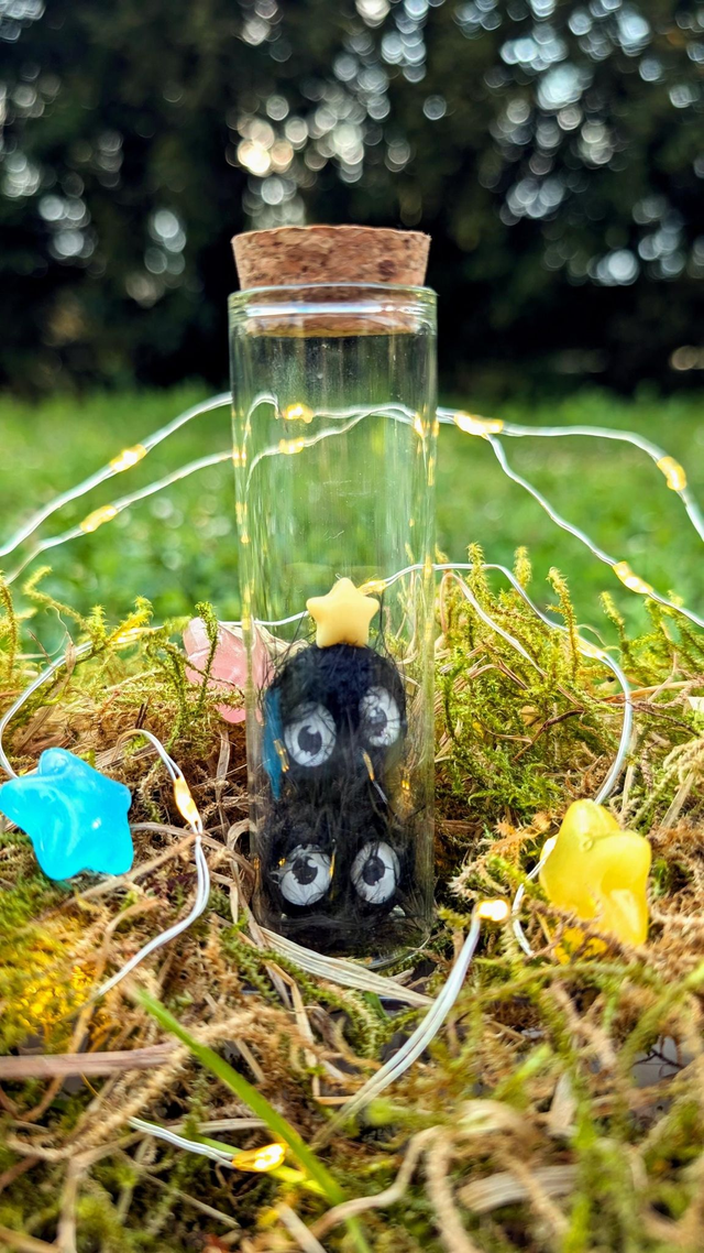 Duo de noireaudes en fiole