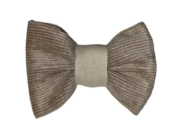 Barrette cheveux