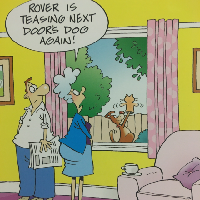 Birthday Humour The Humour Factory ‘Teasing Cat’ GB