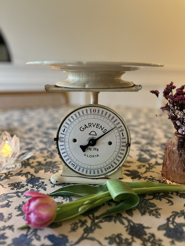 PLAT AUX OISEAUX 1 - Plat piédouche (ou présentoir) aux Oiseaux par la manufacture française de Gien - Terre de Fer