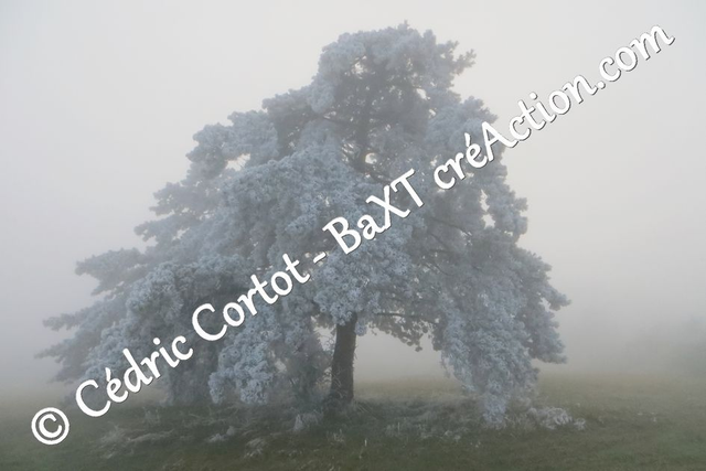 Impression sur alu dibond - Paysages et divers (ref 4510)