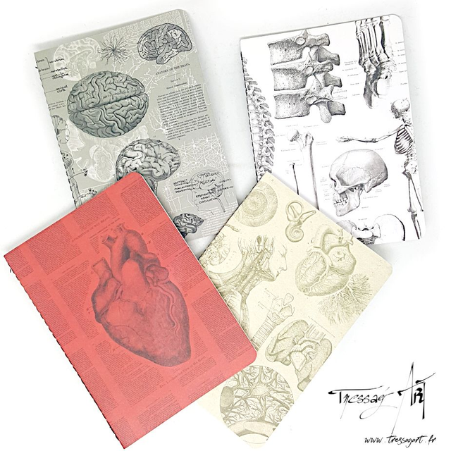 COGNITIVE SURPLUS - LOT 4 CARNETS &quot;ANATOMIE&quot; 10,2*15,2CM - CO007